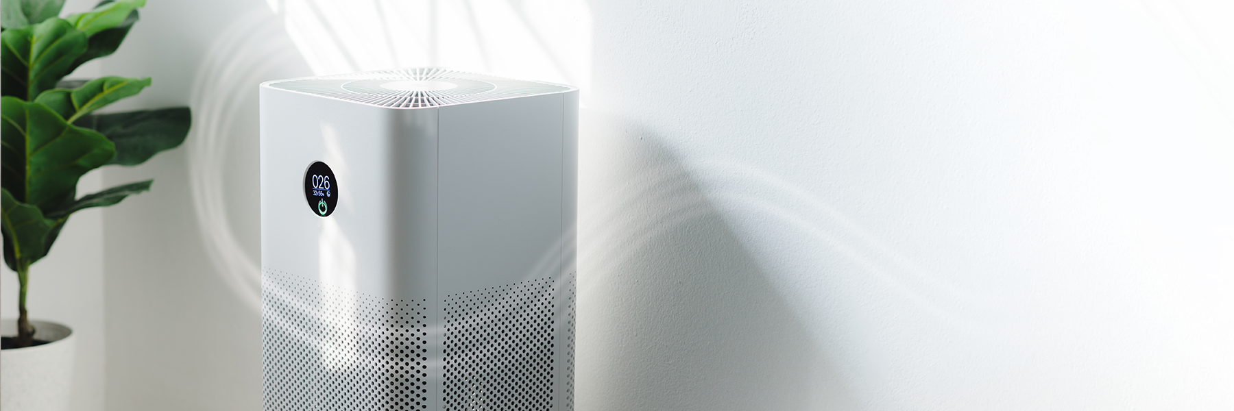 Air Purifiers