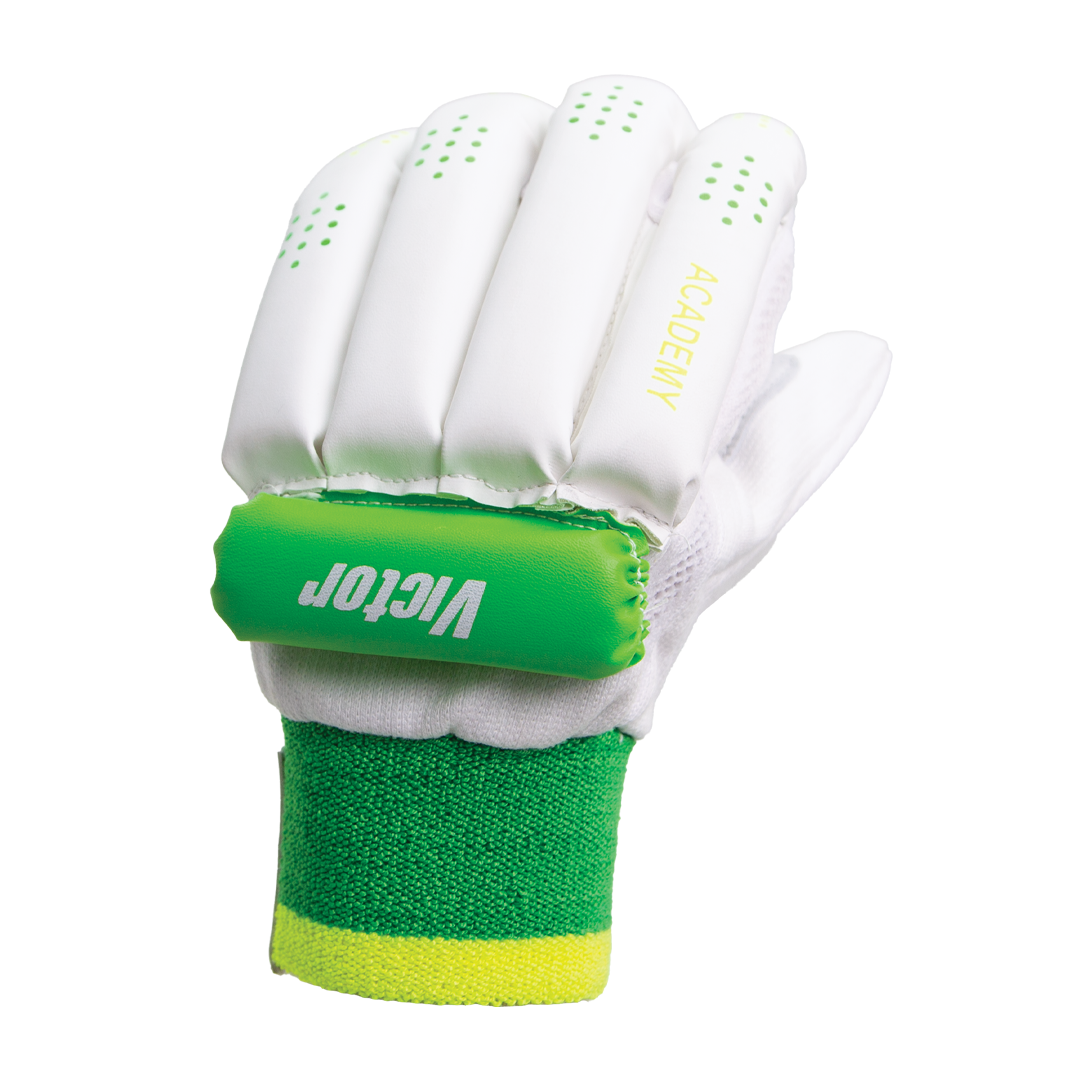 Victor Cricket Batting Gloves Academy
