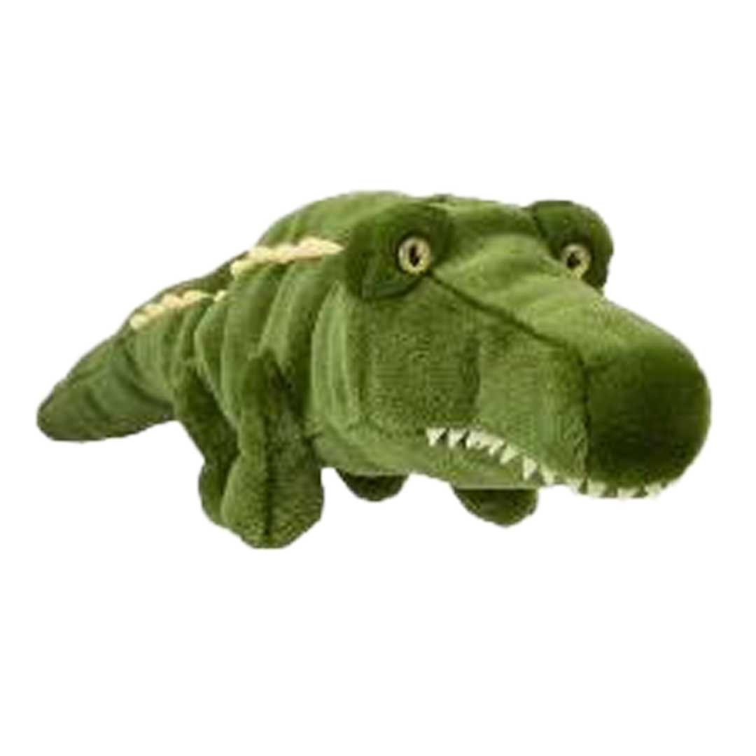  DAPHNE ALLIGATOR