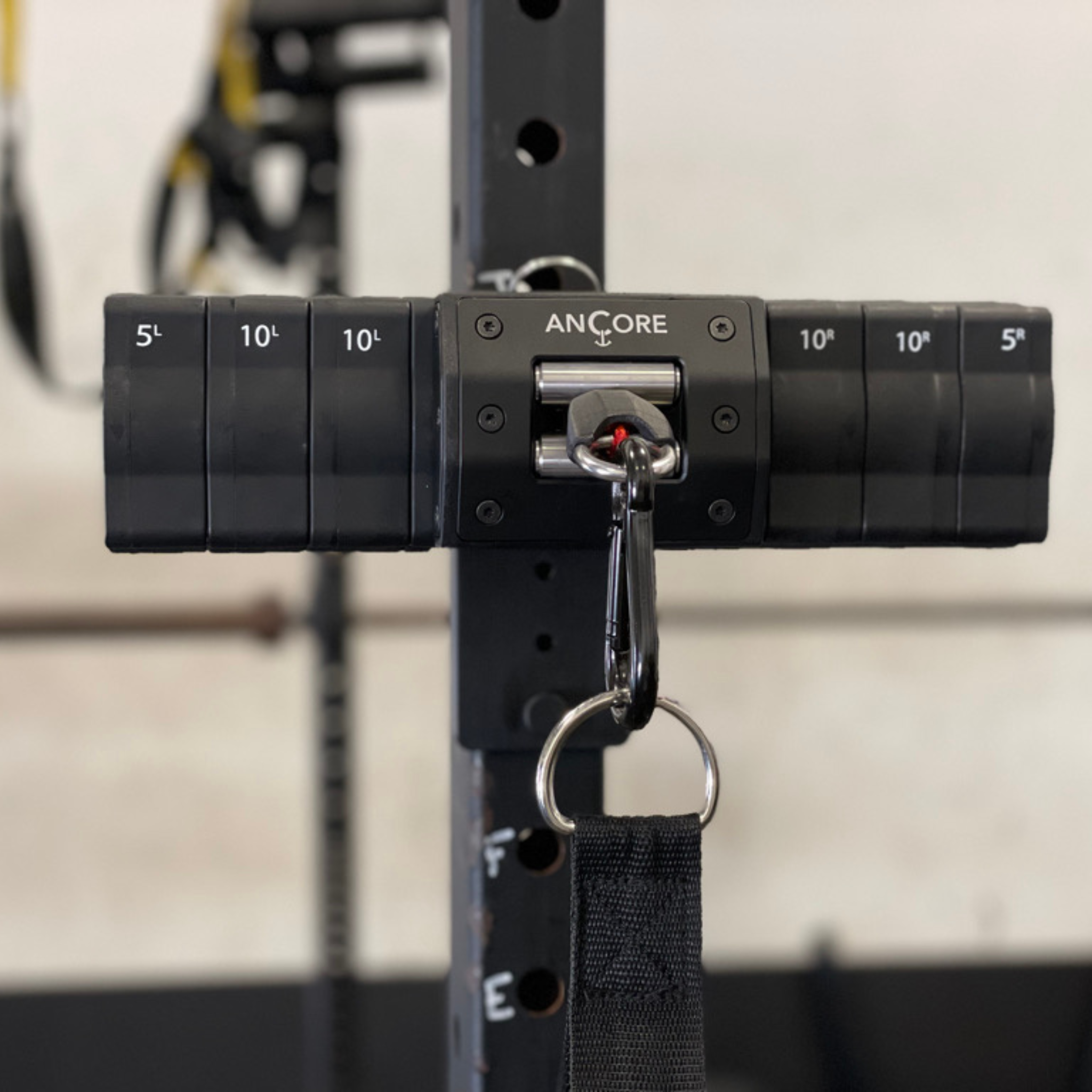 Vickor Racks ANCORE Rack Mount - Whiteley Medical Supplies