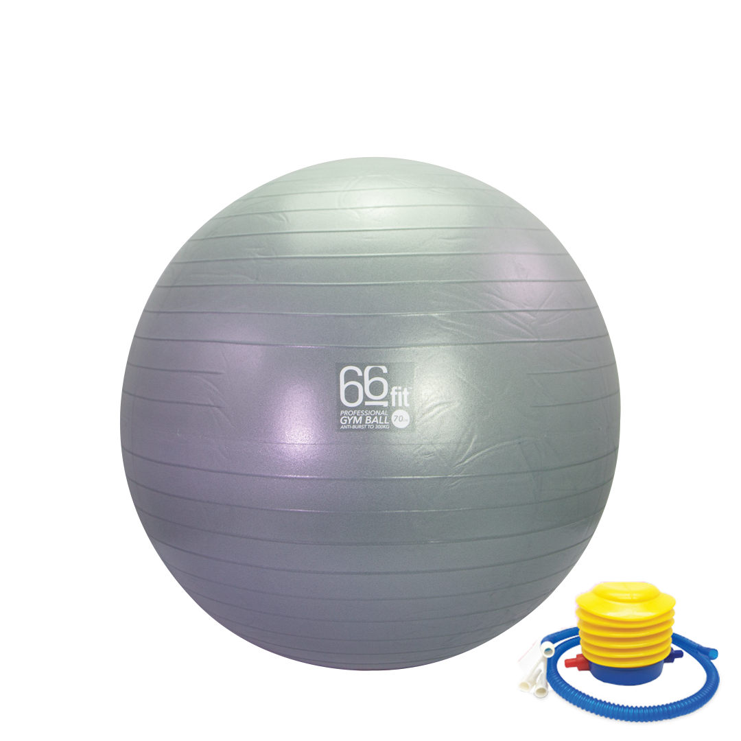 66fit Exercise Gym Balls